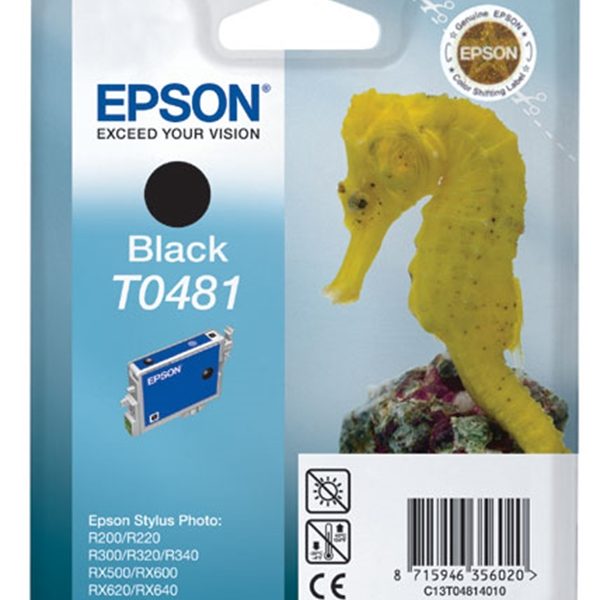 ראש דיו תואם שחור EPSON T0481